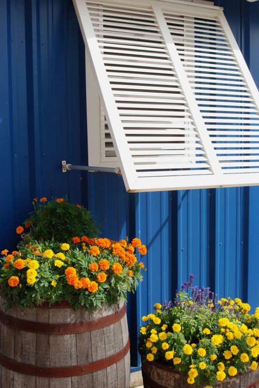 Shutters Replacement in Boulder, CO